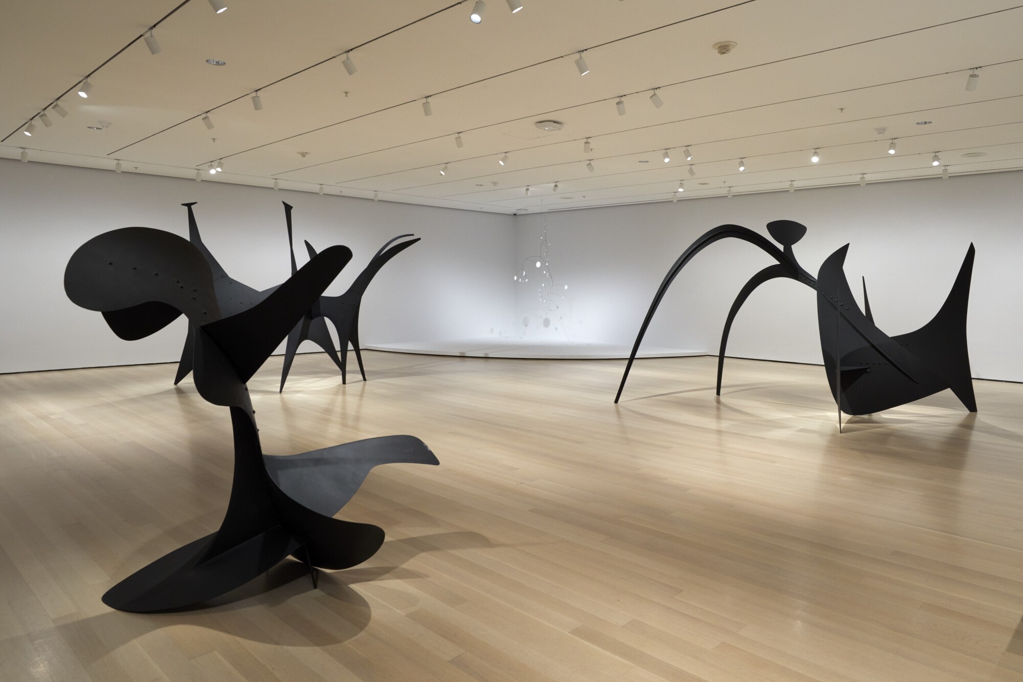 Alexander Calder : Modern from the Start